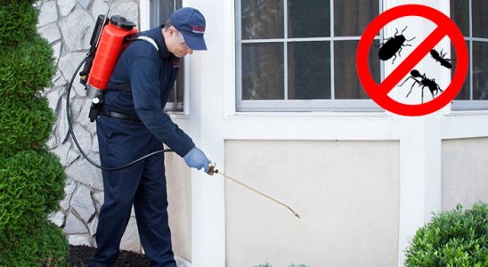 Lice Böcek İlaçlama böcek ilaçlama ve haşere kontrolü — ilaclama-tr.com